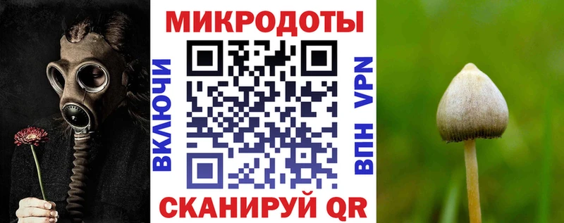 Галлюциногенные грибы ЛСД  даркнет клад  Чкаловск 